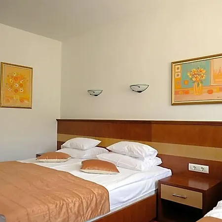 Hotel Mujanic Sarajevo *